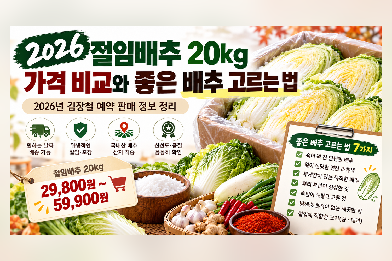 2026년 절임배추 20kg 가격 비교와 좋은 김장배추 고르는 7가지 방법, 절임배추 예약 구매 및 품질 확인 가이드